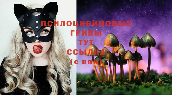 спиды Балабаново