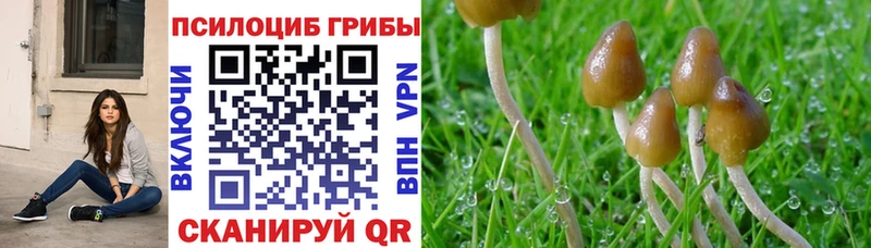 Галлюциногенные грибы мухоморы  наркота  Зарайск 